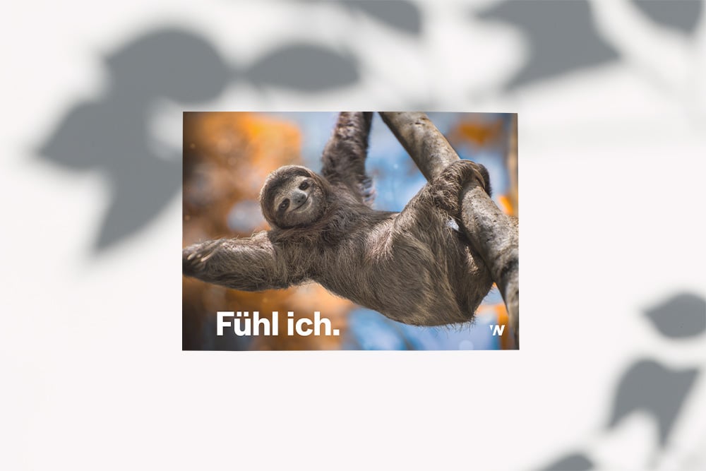 Postkarte-wayers-fuehl-ich-mockup